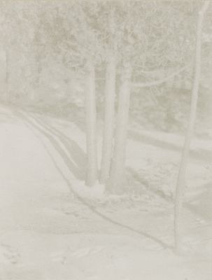 Judgement of Paris-A Landscape Arrangement