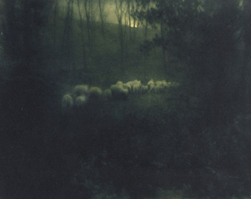 Pastoral – Moonlight