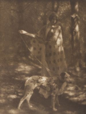 Blotches of Sunlight and Spots of Ink