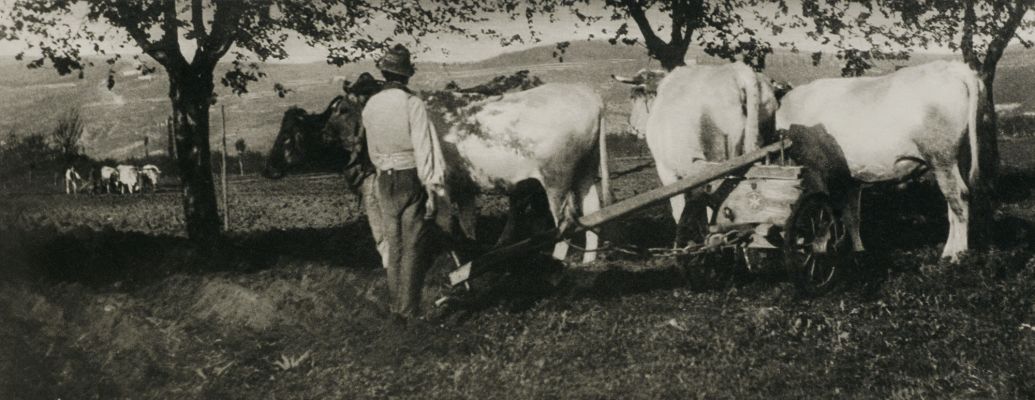 Lombardy Ploughing Team