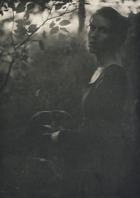 At the Edge of the Woods – Evening