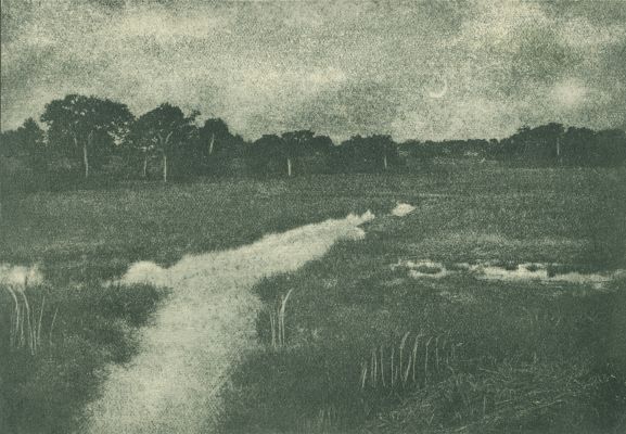 Evening on the Marshes