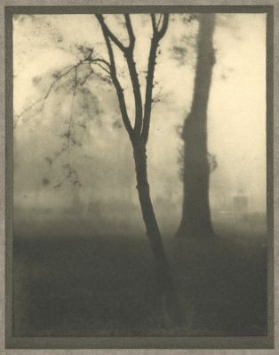 Kensington Gardens, November