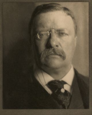 Theodore Roosevelt, The White House