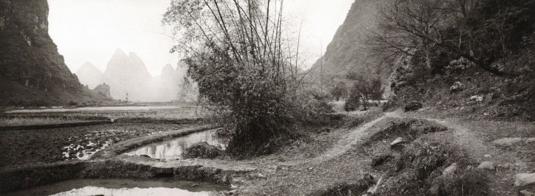 Yangshuo (bamboo in center)