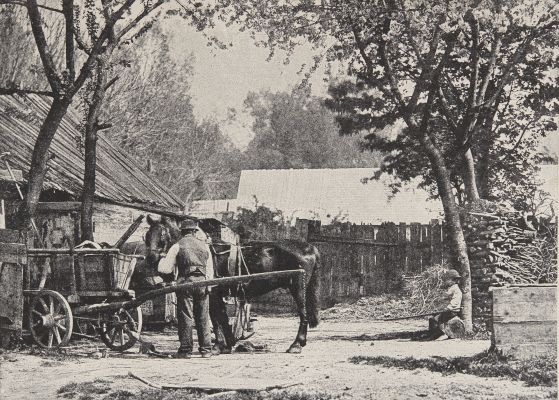 Halbton-Zinkätzung (System Bartosch)