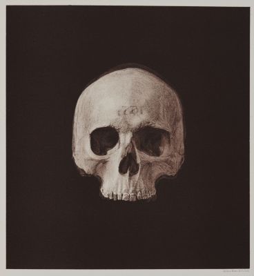 Arrangement for Taking Composite Photographs of Skulls, Photograph No. 1