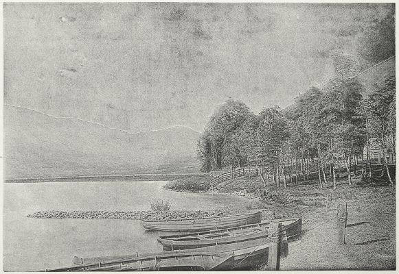Photograph From Nature, Engraved by the Dallastint Process