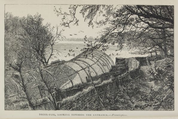 Decoy-Pipe, Looking Towards the Entrance