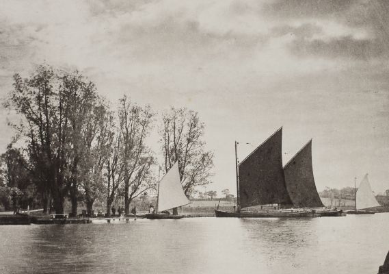 XV. Scene at Surlingham Ferry