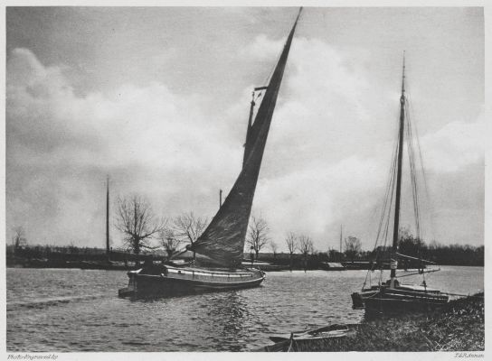 Wherry at Whitlingham.