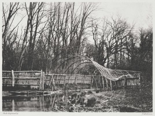 Wildfowl Decoy at Friton. Mouth of Pipe.