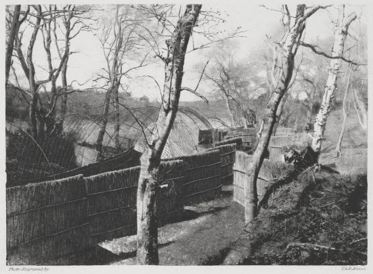 Wildfowl Decoy at Fritton. Screens of Pipe.