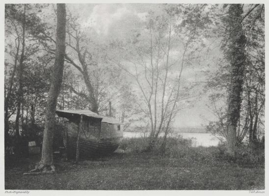 A Cottage, Salthouse Broad.