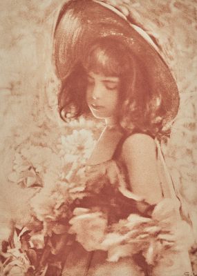 Au Jardin Ensoleillé