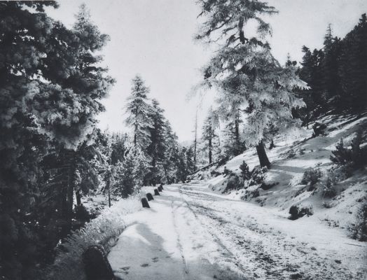 Wintertag in St. Moritz