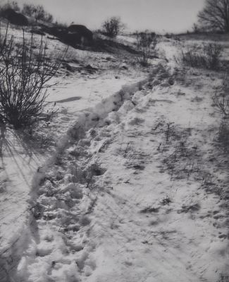 The Path through the Sheep Pasture