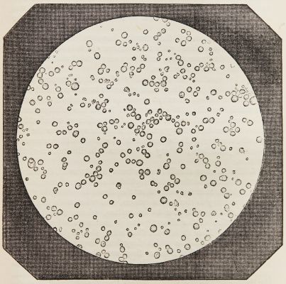 Fig. 43 – Thin Disk of Woman’s Milk