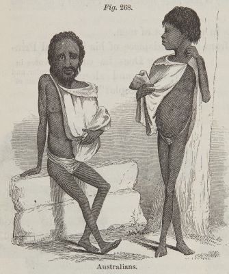 Fig. 268. Australians.