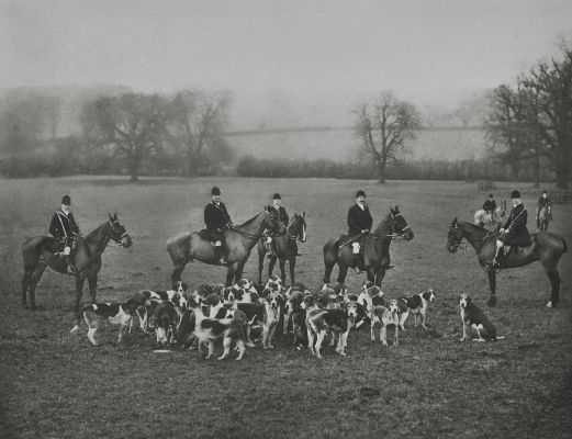 Earl Fitzwilliam’s (Wentworth) Foxhounnds