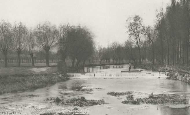 Plate VI The Shoot, Amwell Magna Fishery