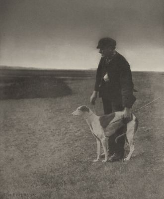 The Poacher – A Hare in View