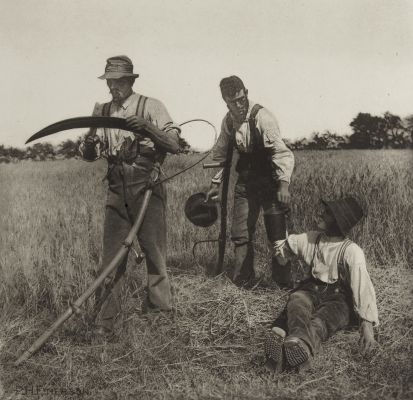 In The Barley Harvest