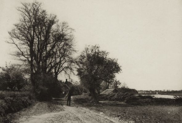 The Farm by the Broad