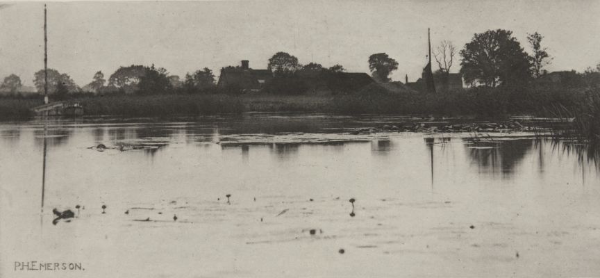 The Fringe of the Mere