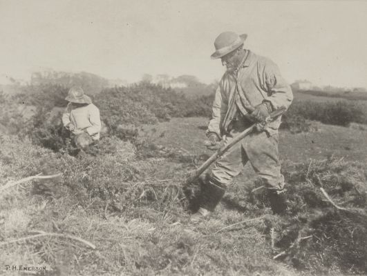 Furze-Cutting on a Suffolk Common