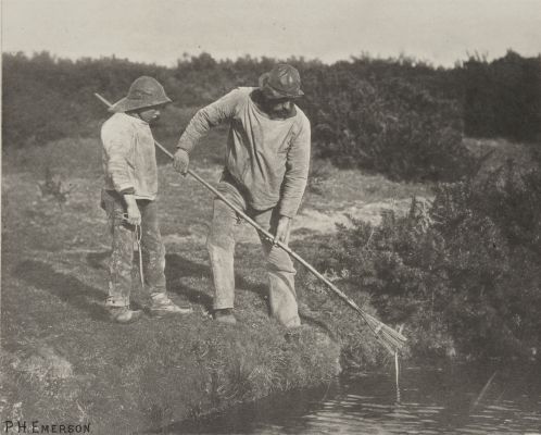 Eel-Picking in Suffolk Waters