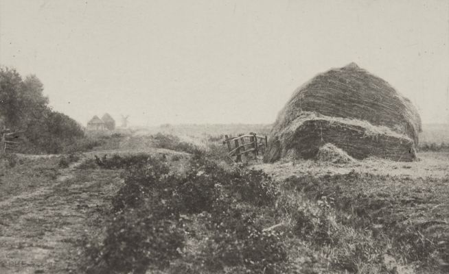 A Way Across the Marshes