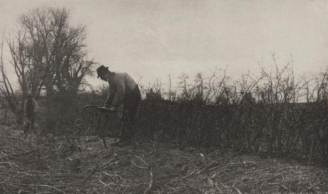 Fencing in Suffolk