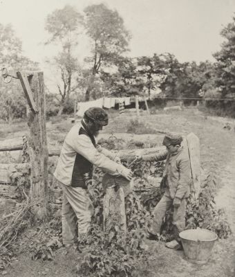 At The Grindstone – A Suffolk Farmyard