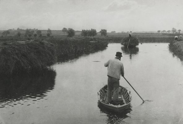 Quanting The Marsh Hay