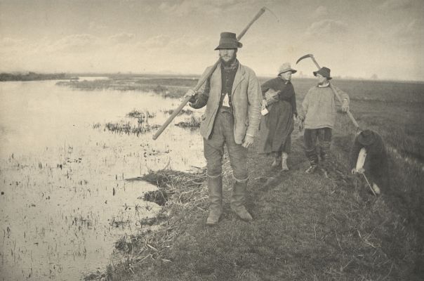 Coming Home from the Marshes