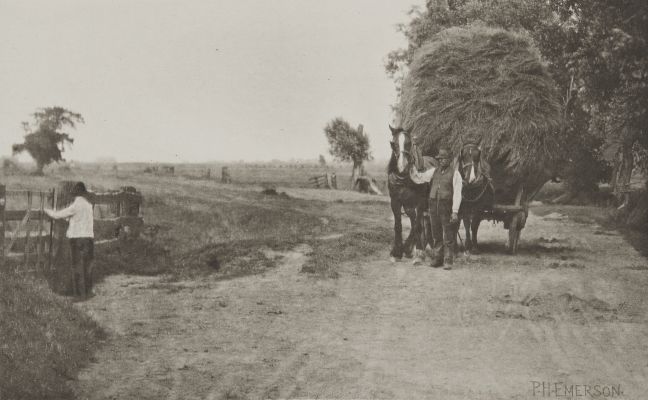 The Wealth of Marshland