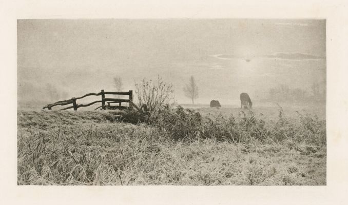 A Winter’s Sunrise