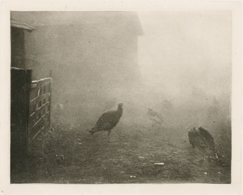 A Corner of the Farm-Yard