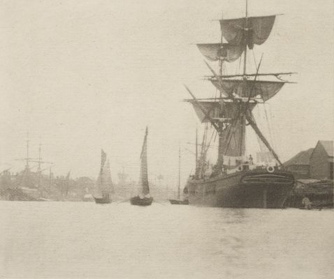 Return Of The Shrimpers