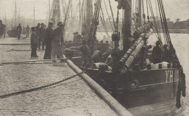 The First of the Herring