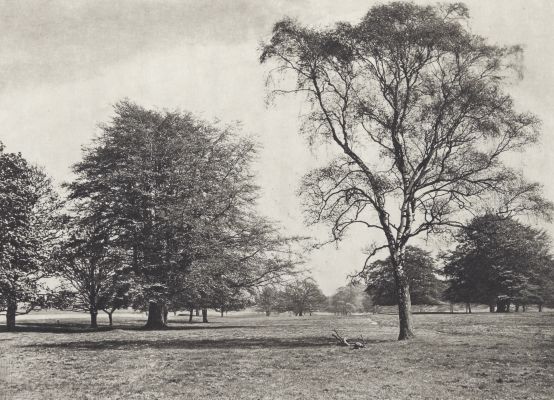 The Park. From the River Bank