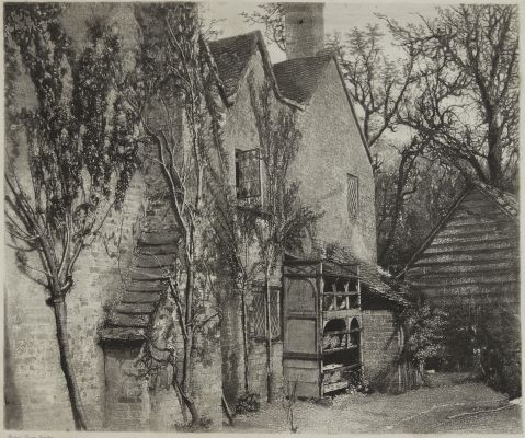 Beehives – Burnham Beeches