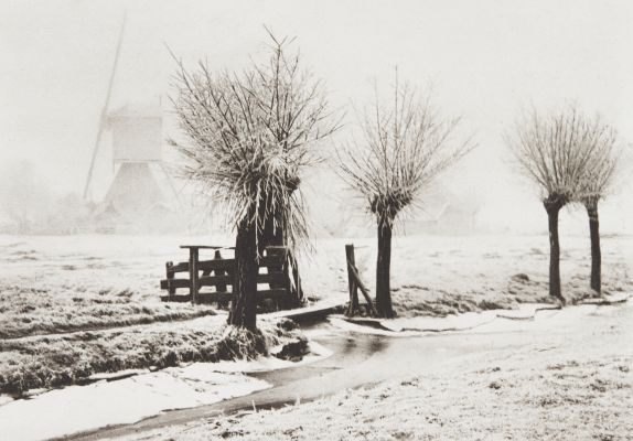 Mistige Winterdag