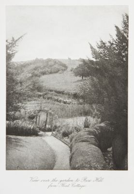 View over the garden to Box Hill