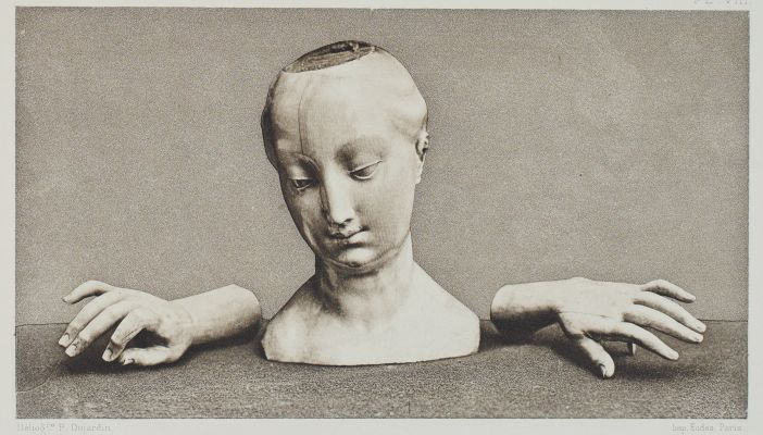 PL. VIII.  Téte et Mains