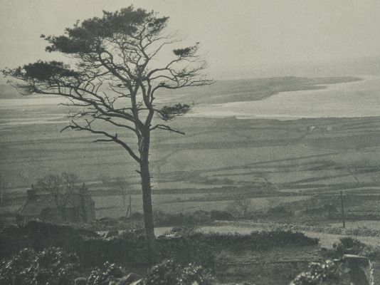 Plate X Mochras or Shell Island