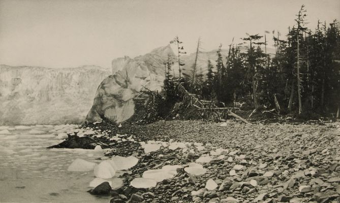 Columbia Glacier at Contact with Island