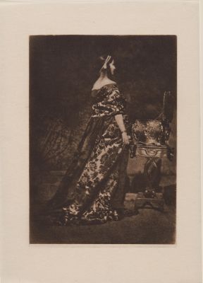 Portrait – The Gown and the Caske