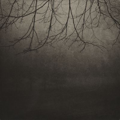 Branches, Lucerne, Switzerland